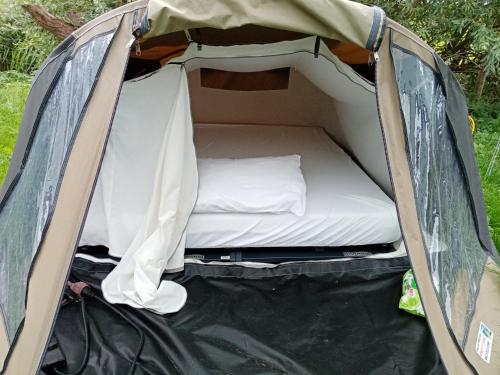 CornwerdBasic 2p tent Sotterum的开放式帐篷内提供床铺