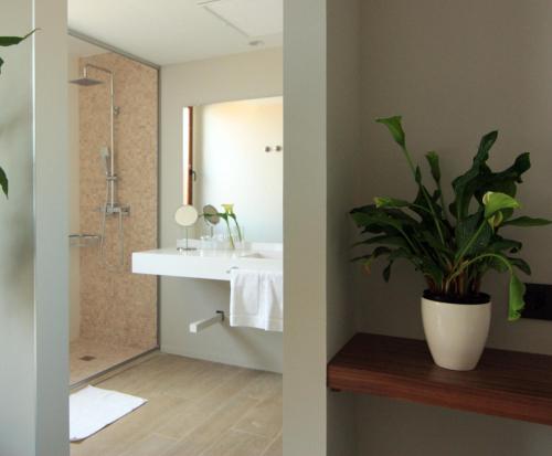 维拉塞加德索尔辛纳拉瓦尔德拉玛尔酒店的一间带水槽、淋浴和植物的浴室