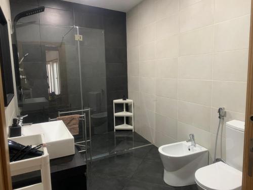 佩纳科瓦LMB Alojamento local的一间带两个盥洗盆、淋浴和卫生间的浴室