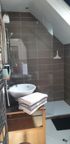 武夫赖Au fil de la Loire的一间带水槽和玻璃淋浴的浴室