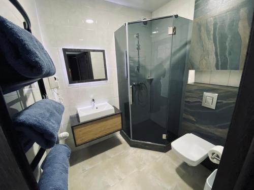 StarunyaHotel Terrazzo的带淋浴、盥洗盆和卫生间的浴室