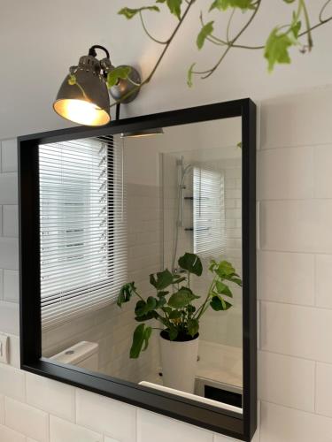 巴塞罗那Charming appartement in the heart of Barcelona的浴室里装有镜子,有盆栽植物