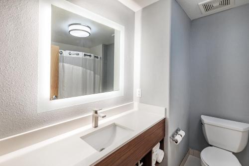HuttoHoliday Inn Express Hotel & Suites Austin NE-Hutto, an IHG Hotel的白色的浴室设有水槽和镜子