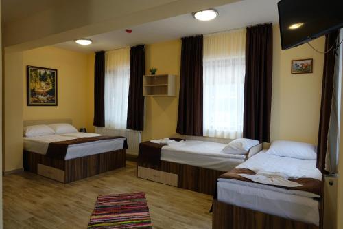 代温Борник Хил / Bornik Hill的酒店客房带两张床和地毯