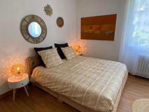 阿梅利莱班帕拉勒达Villa Riviera Chambres Privées的卧室配有一张床,墙上设有镜子