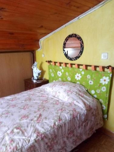 LavacolhosCasa da fonte的卧室配有一张床,墙上设有镜子