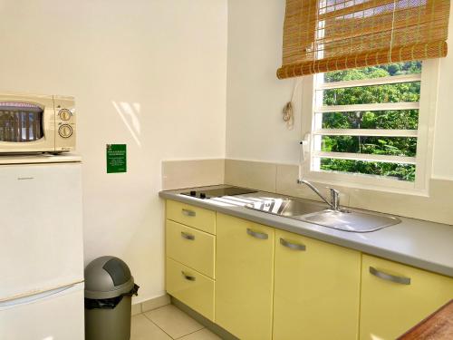 下岛索雷德梅瑞度假屋的一个带水槽和窗户的小厨房