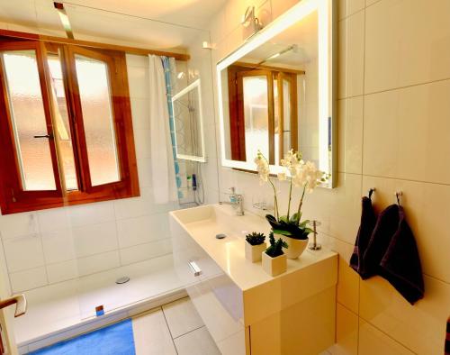 图恩湖畔上霍芬Chalet Oberhofen am Thunersee的浴室配有盥洗盆、镜子和浴缸