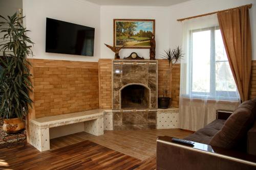 卡缅诺莫斯茨基Guest House Edelveys的客厅设有砖砌壁炉和电视。