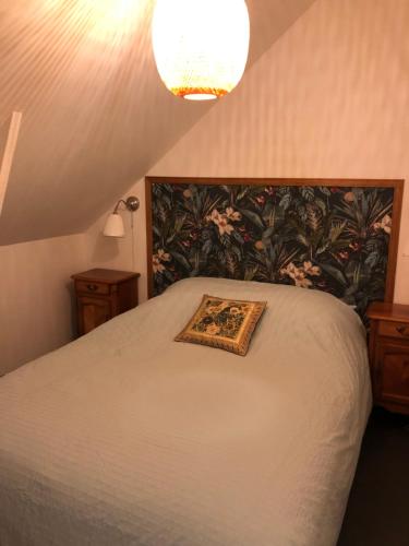 沙尔特尔-德布列塔尼La petite maison dans la jungle的一间卧室配有一张带枕头的床