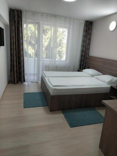 布雷亚扎Hotel Breaza的一间卧室设有一张大床和一个大窗户