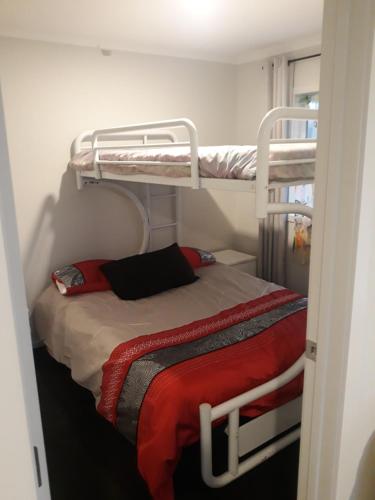 HorotiuComfortable 1 bedroom perfect for travelers or workers的一间卧室配有两张双层床。