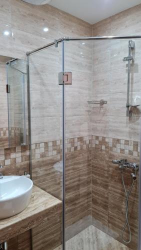 索非亚Hotel Geppy的一间带玻璃淋浴和水槽的浴室