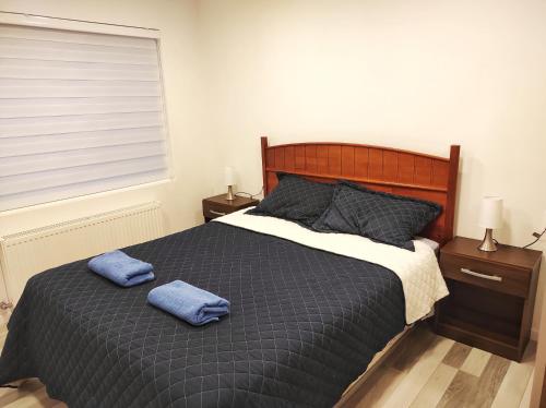 蓬塔阿雷纳斯Casa nueva, excelente ubicación的一间卧室配有一张带2条蓝色毛巾的床