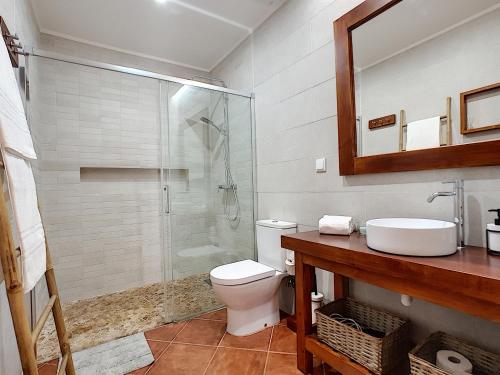 雷根古什-迪蒙萨拉什Casa Refugio Do Campo的带淋浴、卫生间和盥洗盆的浴室