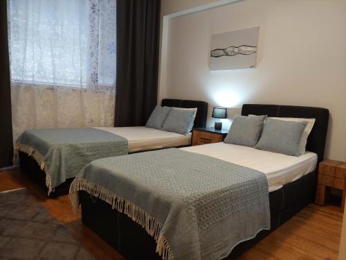 班斯科Monteverde Ski Lift Apartment Bansko的配有窗户的酒店客房内的两张床