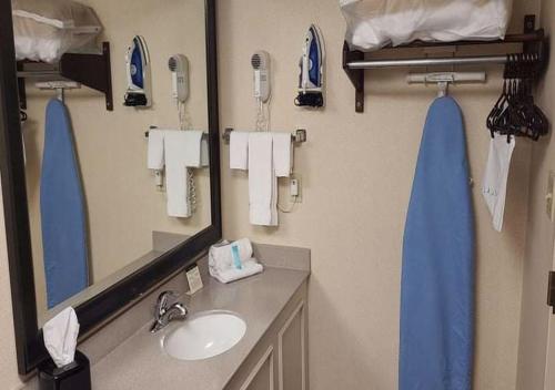 开普吉拉多Auburn Place Hotel & Suites Cape Girardeau的一间带水槽和镜子的浴室