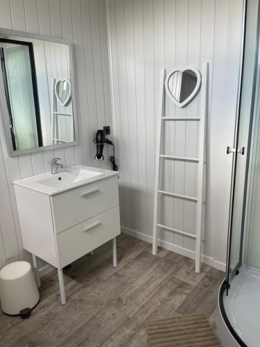 SormeryL’échappée belle的一间带水槽、镜子和梯子的浴室