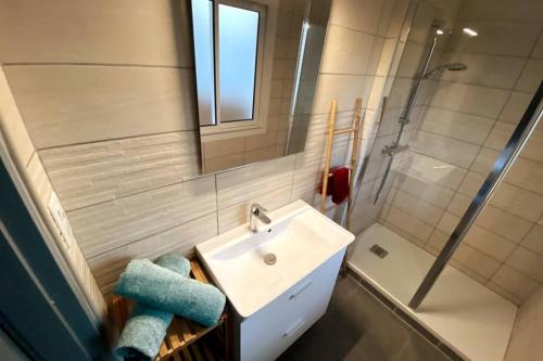 普罗旺斯艾克斯Appartement T2 Cosy sur Aix的浴室配有盥洗盆和带镜子的淋浴