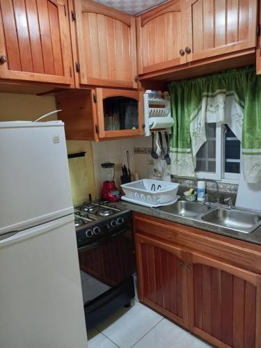 博卡斯德尔托罗Nicol Aparment的厨房配有木制橱柜和白色冰箱。