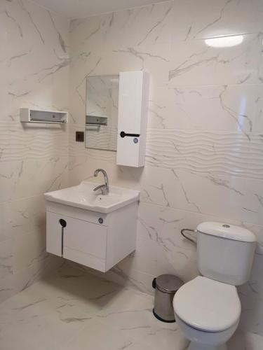 蒙塔纳Хотел Европа的白色的浴室设有卫生间和水槽。