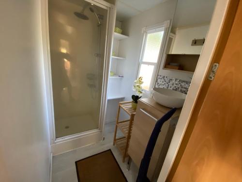 圣保罗莱达Mobile Home Zen pour 4 à 6 pers camping 4* Saint Paul Les Dax的设有带步入式淋浴间和盥洗盆的浴室