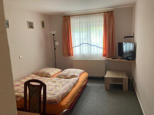 NossenPension Tom´s Hütte的一间小卧室,配有一张床和电视