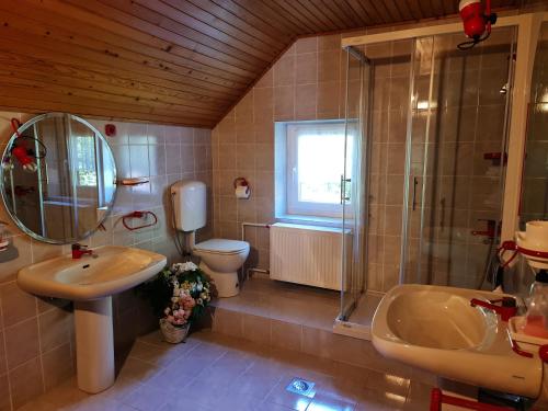 克拉尼斯卡戈拉Holiday House Jasna的一间带水槽、卫生间和淋浴的浴室