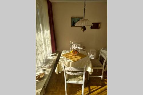 韦尔特湖畔克伦彭多夫Evita Wörthersee的一间带桌椅和窗户的用餐室