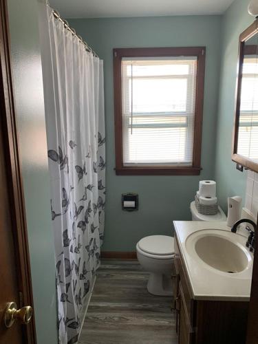 尼亚加拉瀑布Niagara Falls Private Brick Vacation Home的一间带卫生间、水槽和窗户的浴室