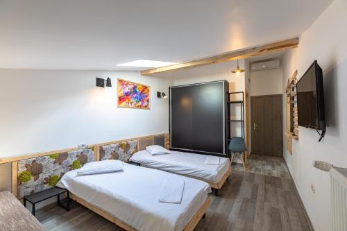 布拉索夫埃祖旅馆的一间设有两张床和电视的客房