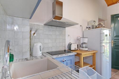 帕诺尔莫斯斯科派洛斯卡捷琳娜公寓的厨房配有水槽和冰箱