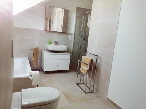 塞勒姆Schlossseeapartment的浴室配有卫生间、盥洗盆和淋浴。