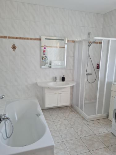 PlaueFerienwohnung Uferblick的白色的浴室设有水槽和淋浴。