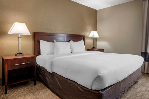 Comfort Inn & Suites DeLand - near University客房内的一张或多张床位