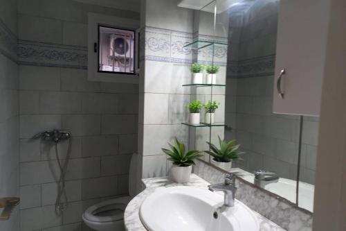 卡利诺岛Casa Bianca的一间带水槽的浴室和一个带盆栽植物的卫生间