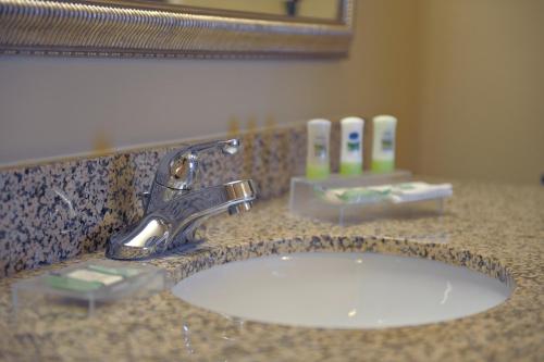 华盛顿华盛顿江山旅馆及套房的浴室水槽设有水龙头和镜子