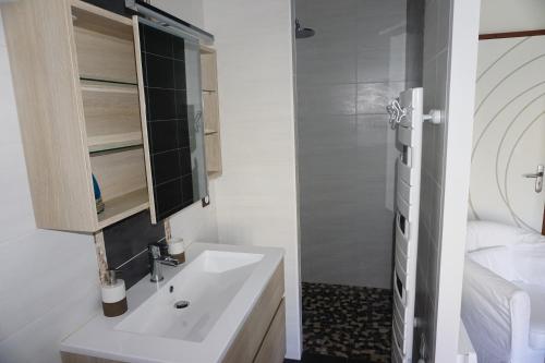 吉伦特河畔梅谢尔Chambre d'hôtes le Berceau的白色的浴室设有水槽和淋浴。
