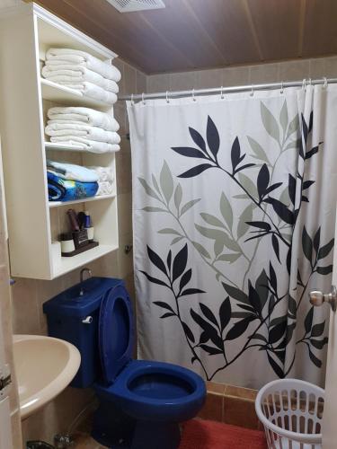 查兰卡诺亚李的舒适之家公寓的浴室设有蓝色的卫生间和浴帘