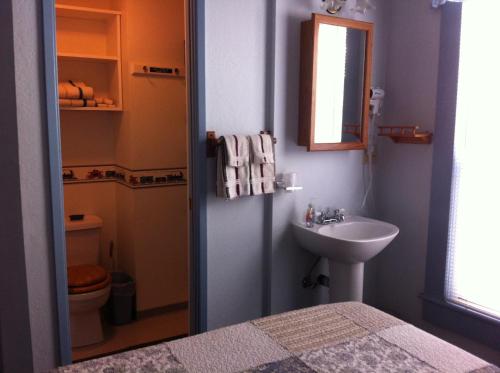 PortolaPullman House Inn的一间带水槽和卫生间的小浴室