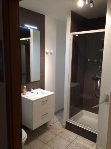 埃圭斯海姆维纳斯酒店的一间带水槽、淋浴和卫生间的浴室
