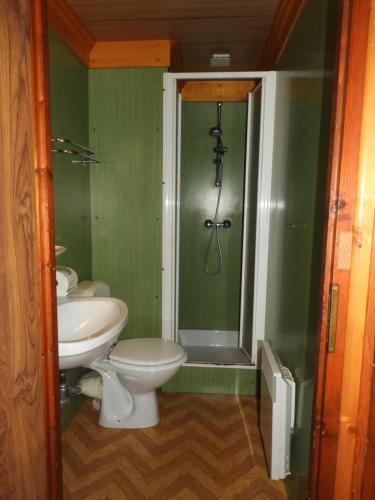 莱热1 Authentique chalet, le Mirador的浴室配有卫生间、盥洗盆和淋浴。