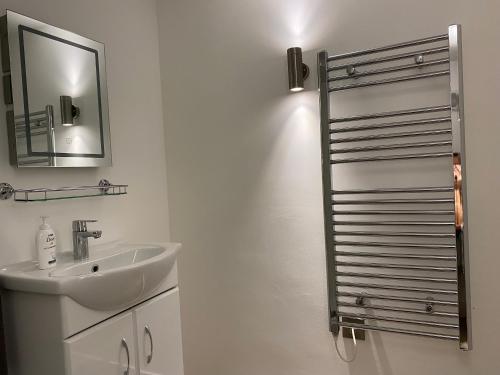 ThrowleighDelightful 1 bedroom chalet的白色的浴室设有水槽和镜子