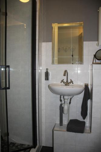 AssendelftStudio Bed and Breakfast Zaans Moment的一间带水槽、镜子和淋浴的浴室
