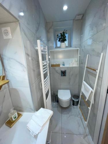 维希弗朗索瓦第一公寓的白色的浴室设有卫生间和淋浴。
