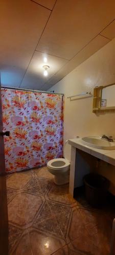 玉米岛Hospedaje Tropical Dreams的一间带卫生间和水槽的浴室