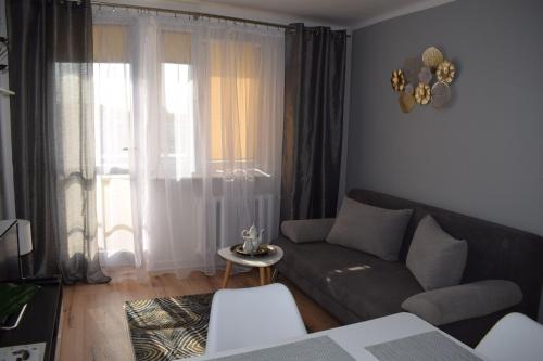 琴斯托霍瓦Apartament M-3 CENTRUM的带沙发和窗户的客厅