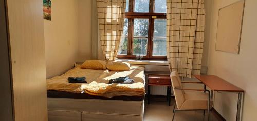 海门林纳Ainola的一间卧室配有一张床、一张书桌和一个窗户。