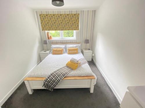 佩斯利Paisley Central Apartment的一间卧室配有一张带黄色枕头的床和一扇窗户