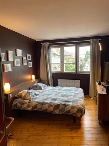 科尔马Appartement Grenier à sel Gentleman的一间卧室设有一张床和一个窗口